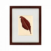 картина: the dark red leaf, 1881 в Благовещенске