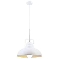 подвесной светильник arte lamp martin a5213sp-1wg в Благовещенске