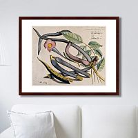 картина: exotic plants of the world №12, 1815г. в Благовещенске