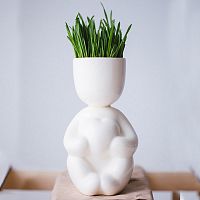 набор для выращивания eco романтик в Благовещенске