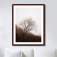 картина: lonely wood в Благовещенске