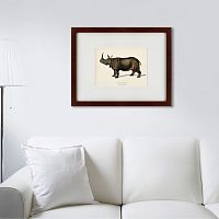 картина: rhinoceros ancienne gravure, 1849 в Благовещенске