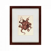 картина: pacific octopus, 1731 в Благовещенске