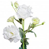 лизиантус белый 77 см (12) в Благовещенске