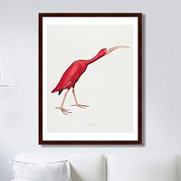 картина: scarlet ibis, 1827г. в Благовещенске