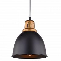 подвесной светильник arte lamp eurica a4245sp-1bk в Благовещенске