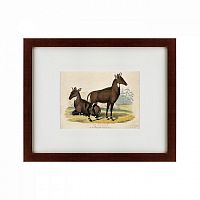 картина: two nilgais, 1830 в Благовещенске