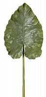 декор giant taro leaf в Благовещенске