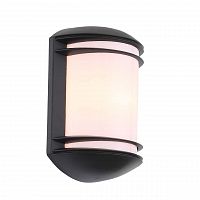 уличный настенный светильник st luce agio sl076.401.01 в Благовещенске