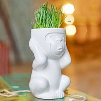 горшок для растений eco игнорик в Благовещенске