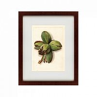 картина: watercolor collection, drawing №1, 1909 в Благовещенске