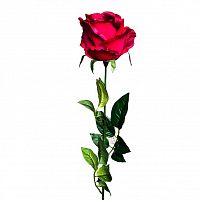 Роза бордовая 71 см (24)