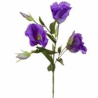 Лизиантус фиолетовый 78 см (36)
