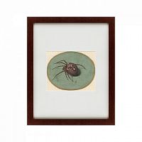 картина: spider, 1690 в Благовещенске