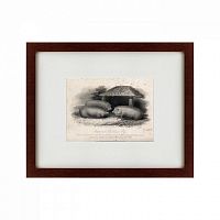 картина: three middlesex pigs, 1848 в Благовещенске