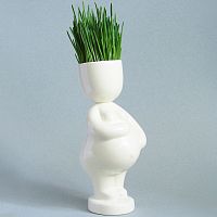набор для выращивания eco мама в Благовещенске