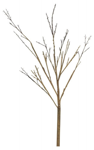 декор twig stem в Благовещенске