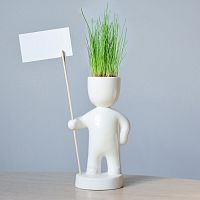 набор для выращивания eco знаменосец в Благовещенске
