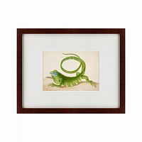 картина: green iguana, 1701 в Благовещенске