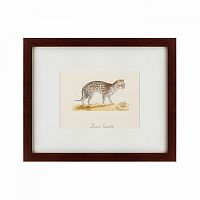 картина: an ocelot, 1801 в Благовещенске