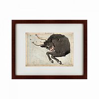 картина: signs of zodiac taurus, 1825 в Благовещенске