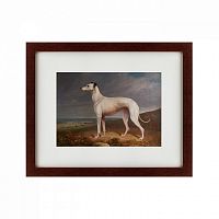 картина: portrait of a greyhound, 1744 в Благовещенске