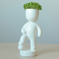 набор для выращивания eco футболист в Благовещенске