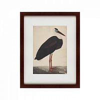 картина: black stork in a landscape, индия, 1780 в Благовещенске