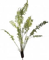 декор fern plant в Благовещенске