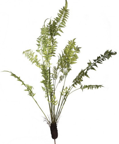 декор fern plant в Благовещенске