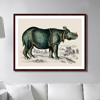 картина: rhinoceros, 1774г. в Благовещенске