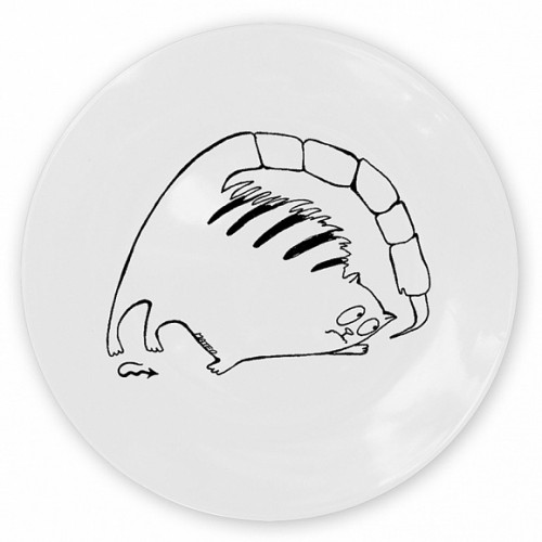 кот-скорпион в Благовещенске