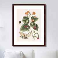 картина: beauty bloom №4, 1732г. в Благовещенске