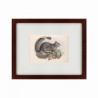 картина: the squirrel, 1879 в Благовещенске