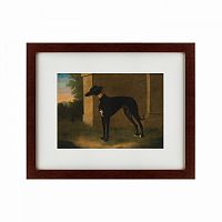 картина: portrait of a greyhound called pompon, 1746 в Благовещенске
