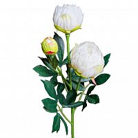 Пион кремовый 64 см (24)