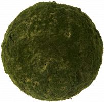 декор moss sun в Благовещенске