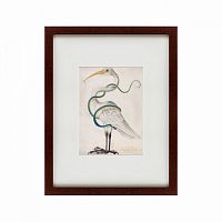картина: heron encircled by a snake, 1700 в Благовещенске