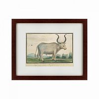 картина: cape ox, 1778 в Благовещенске