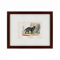 картина: a caracal or lynx, 1830 в Благовещенске