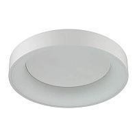 потолочный светодиодный светильник odeon light sole 4062/50cl в Благовещенске