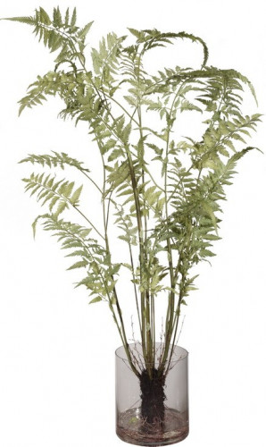 декор fern в Благовещенске